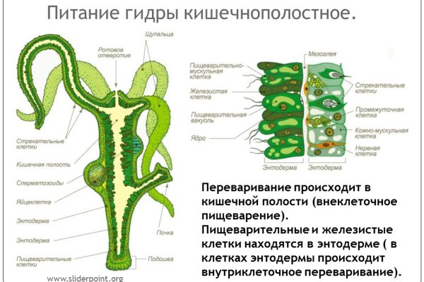 Кракен невозможно зарегистрировать пользователя